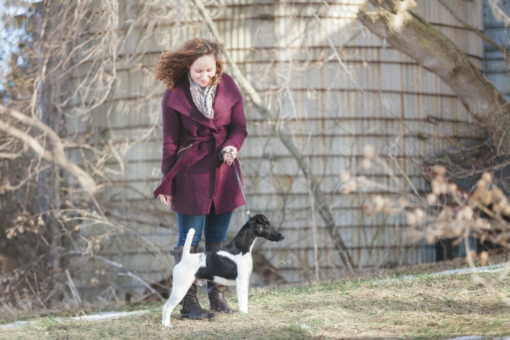 decorum spot on ) smooth fox terrier