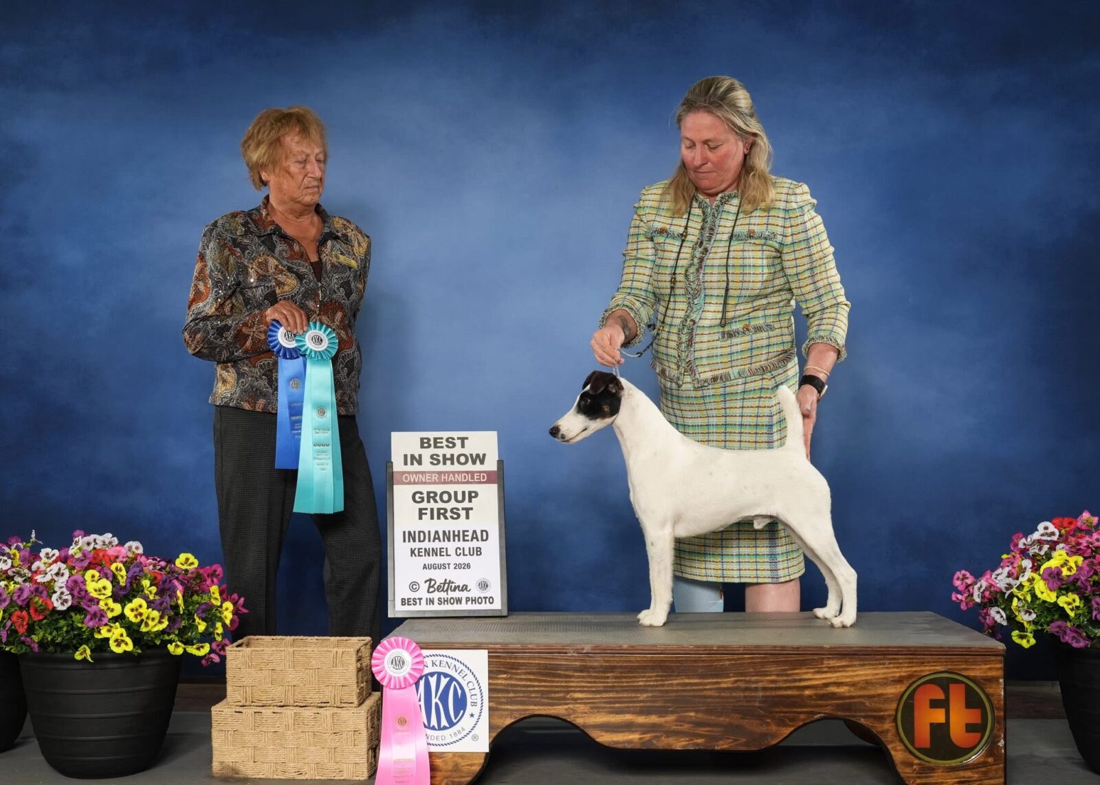 Photo of GCH Decorum Turnin’ Heads, a Black, Tan & White Fox Terrier (Smooth).