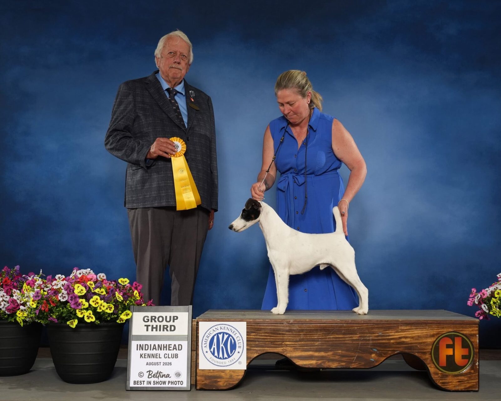Photo of GCH Decorum Turnin’ Heads, a Black, Tan & White Fox Terrier (Smooth).