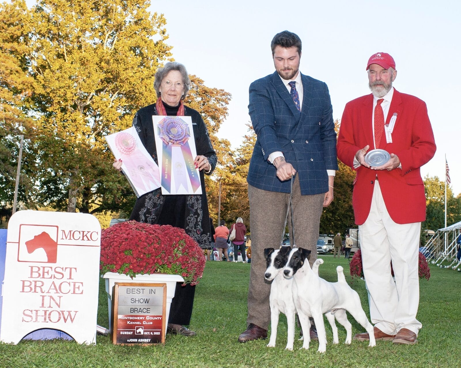 Photo of BISS GCH Decorum Turn Up The Drama ROM, a Black & White Fox Terrier (Smooth).