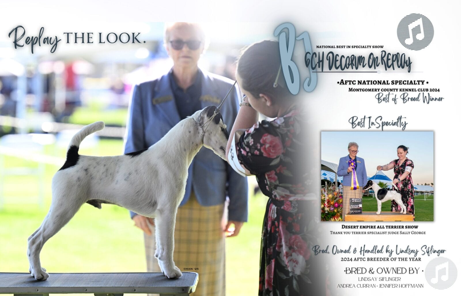 Photo of BISS GCH Decorum On Replay, a Black & White Fox Terrier (Smooth).