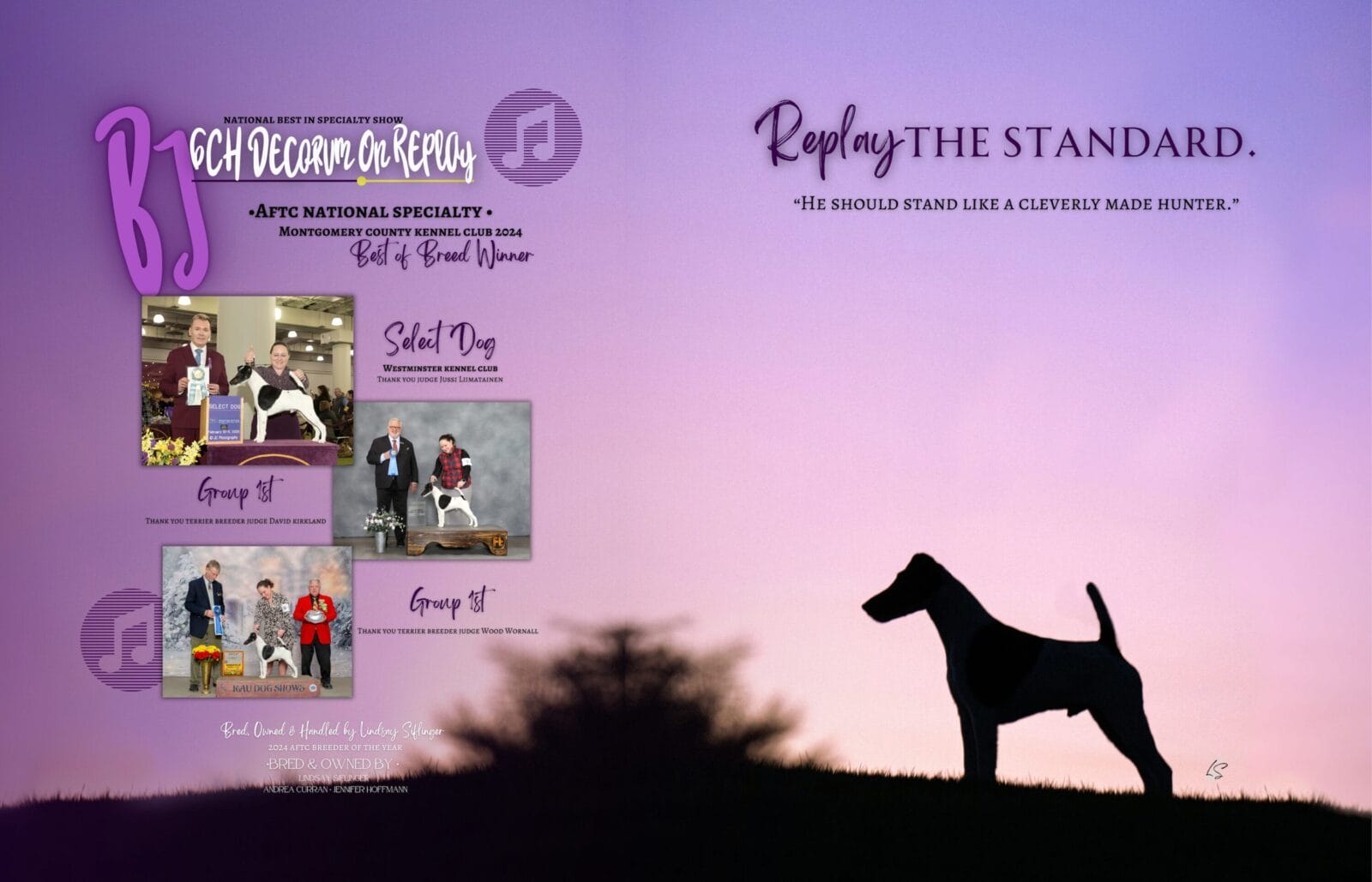 Photo of BISS GCH Decorum On Replay, a Black & White Fox Terrier (Smooth).