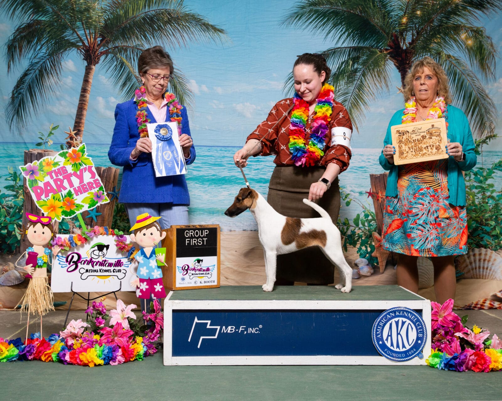 Photo of CH Decorum Cast A Spell, a Tan & White Fox Terrier (Smooth).