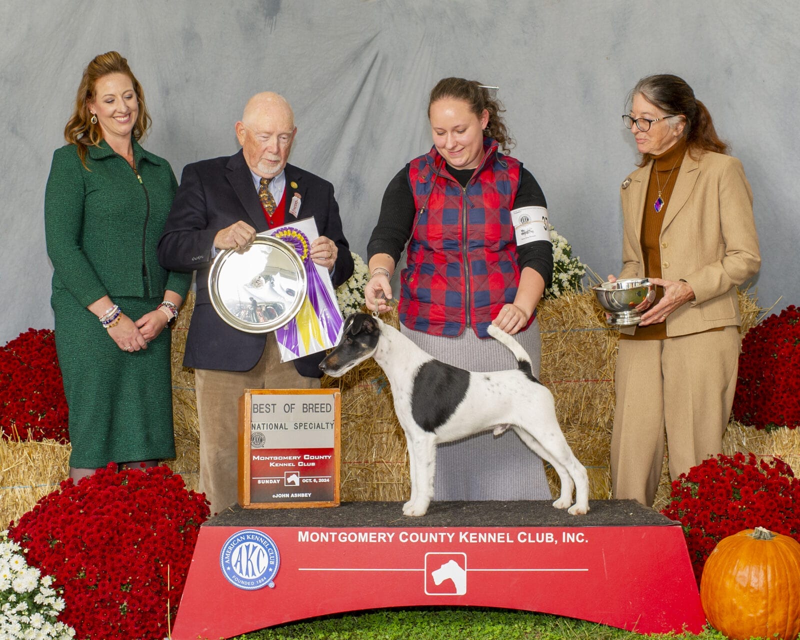 Photo of BISS GCH Decorum On Replay, a Black & White Fox Terrier (Smooth).
