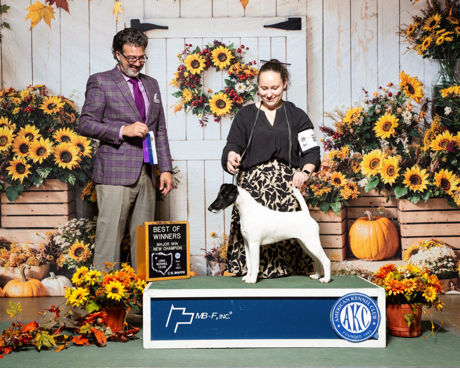 Photo of GCH Absolutely Game. Set. Replay. at Decorum, a  Fox Terrier (Smooth).