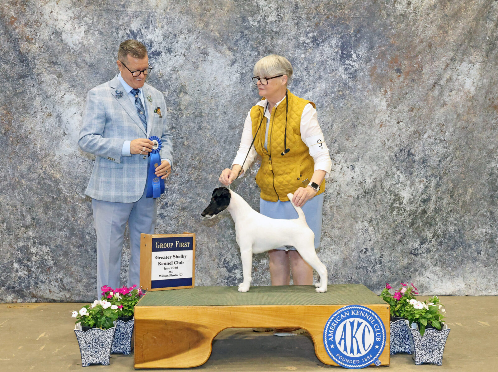 Photo of BISS GCH Absolutely Game. Set. Replay. at Decorum, a  Fox Terrier (Smooth).
