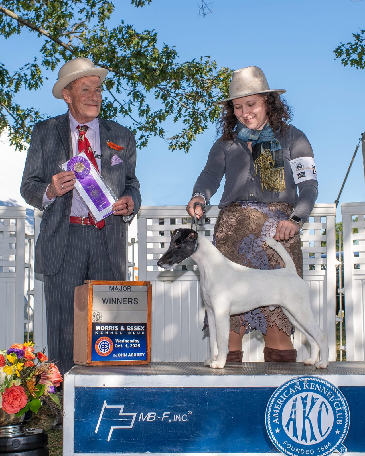 Photo of GCH Absolutely Game. Set. Replay. at Decorum, a  Fox Terrier (Smooth).