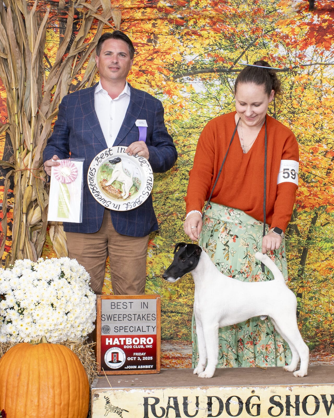 Photo of GCH Absolutely Game. Set. Replay. at Decorum, a  Fox Terrier (Smooth).