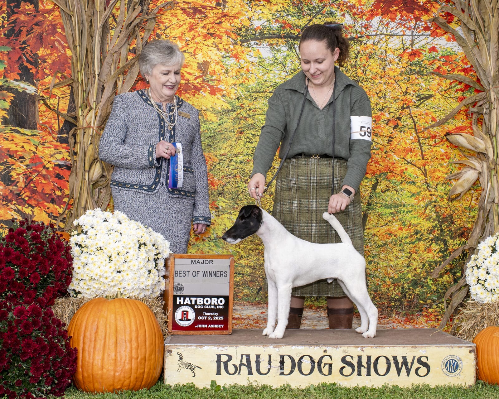 Photo of GCH Absolutely Game. Set. Replay. at Decorum, a  Fox Terrier (Smooth).