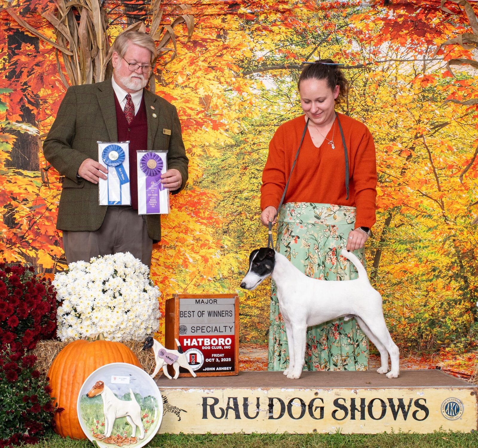 Photo of CH Absolutely On The Record at Decorum, a  Fox Terrier (Smooth).