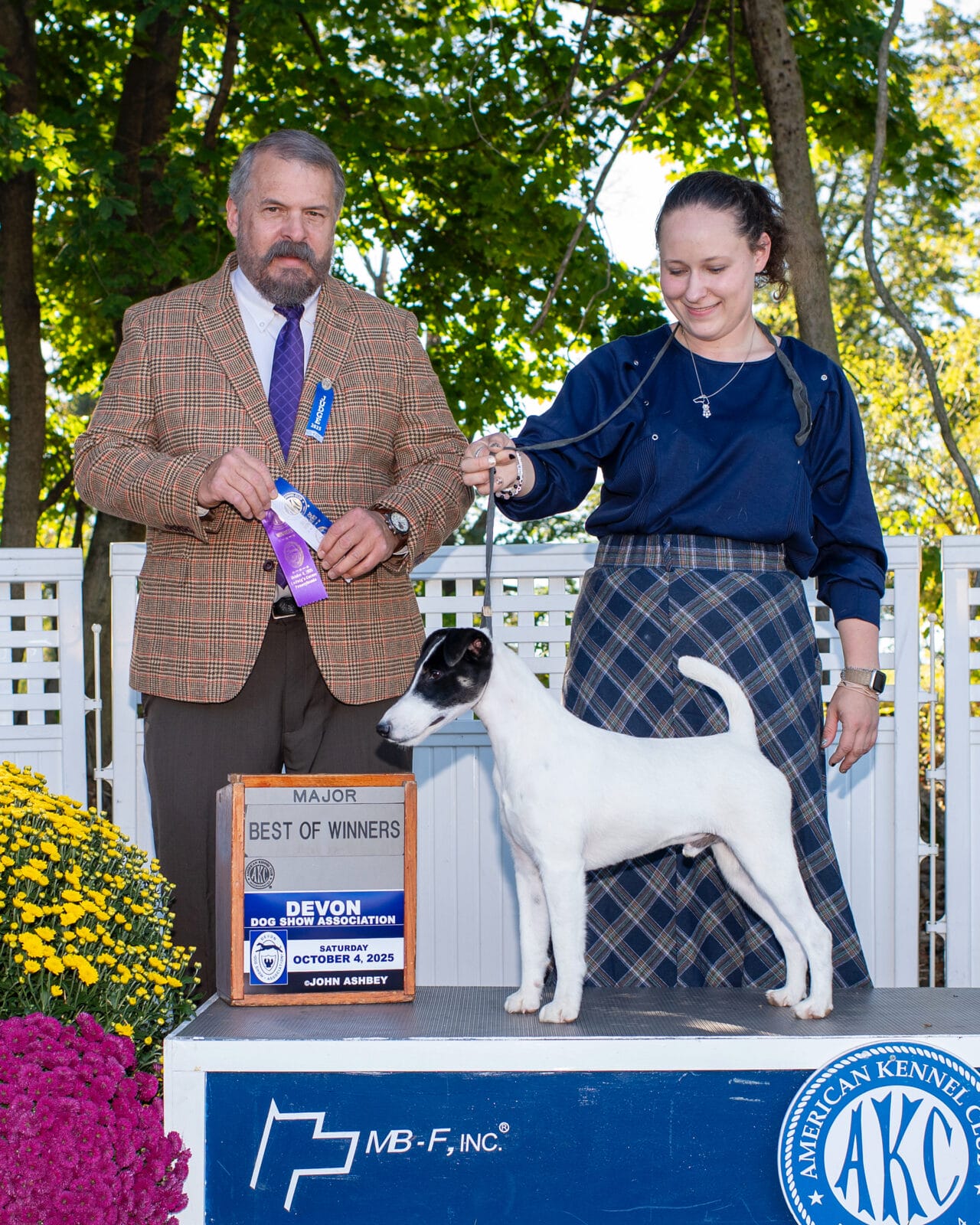 Photo of CH Absolutely On The Record at Decorum, a  Fox Terrier (Smooth).