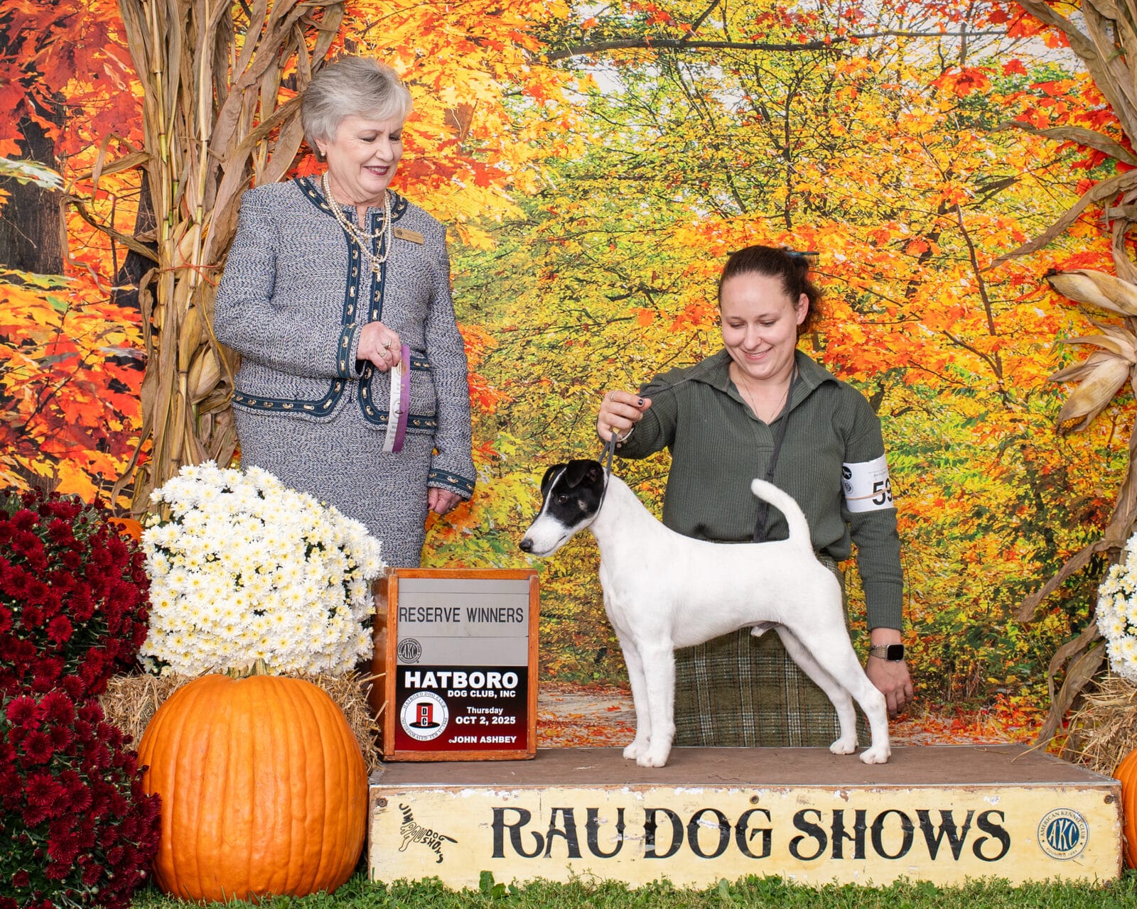 Photo of CH Absolutely On The Record at Decorum, a  Fox Terrier (Smooth).