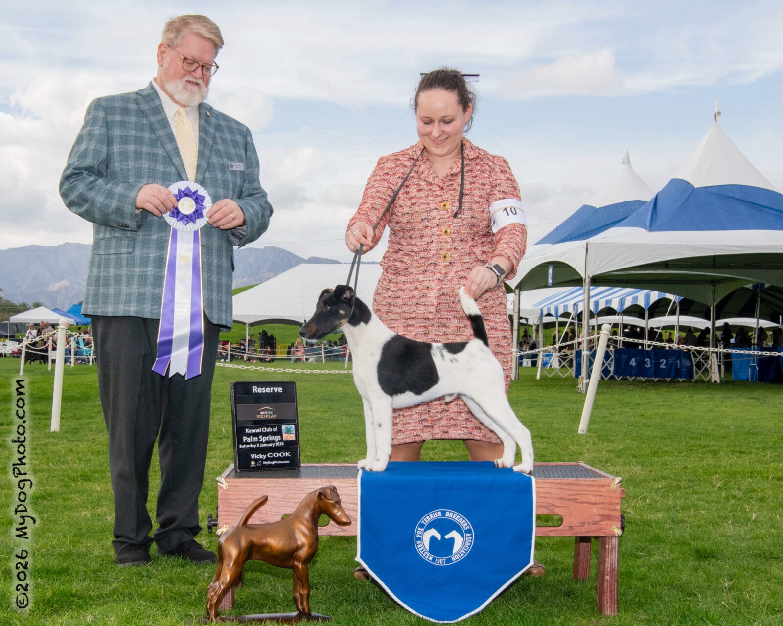 Photo of Decorum Absolutely A Little Controversy, a Black Tan & White Fox Terrier (Smooth).