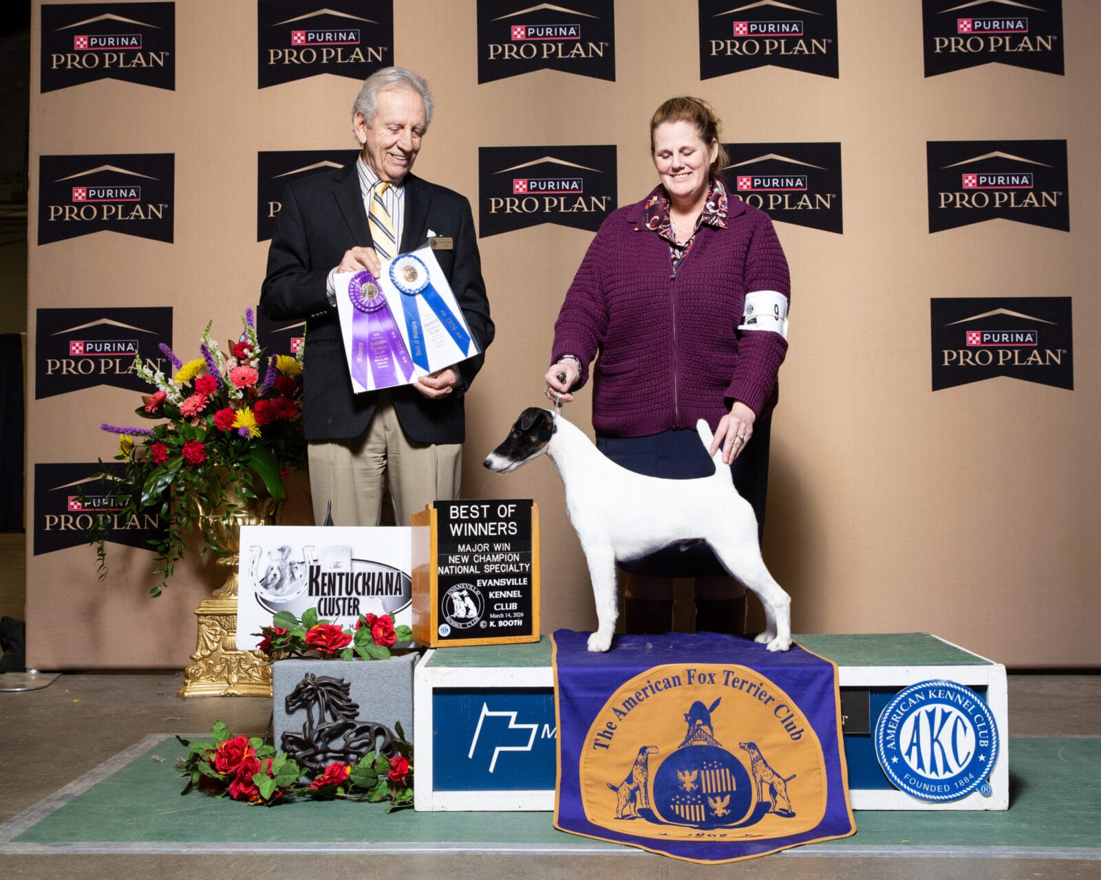Photo of CH Absolutely Well Played At Decorum, a Black White & Tan Fox Terrier (Smooth).